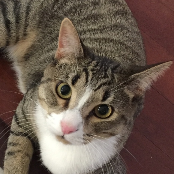 Meet your Posher, Danielle - Picture 1 of 1